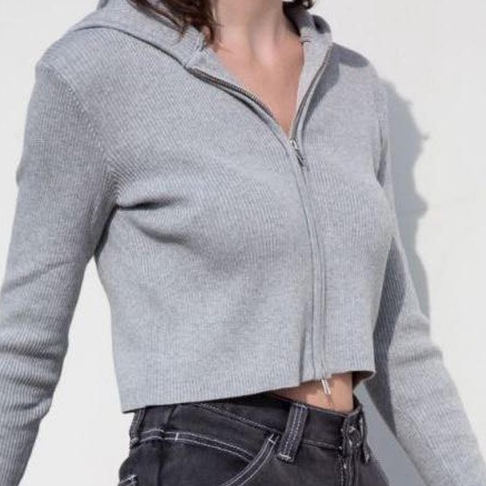 Brandy Melville Arden Crop Hoodie